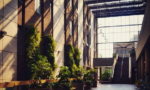 Tory Building Atrium